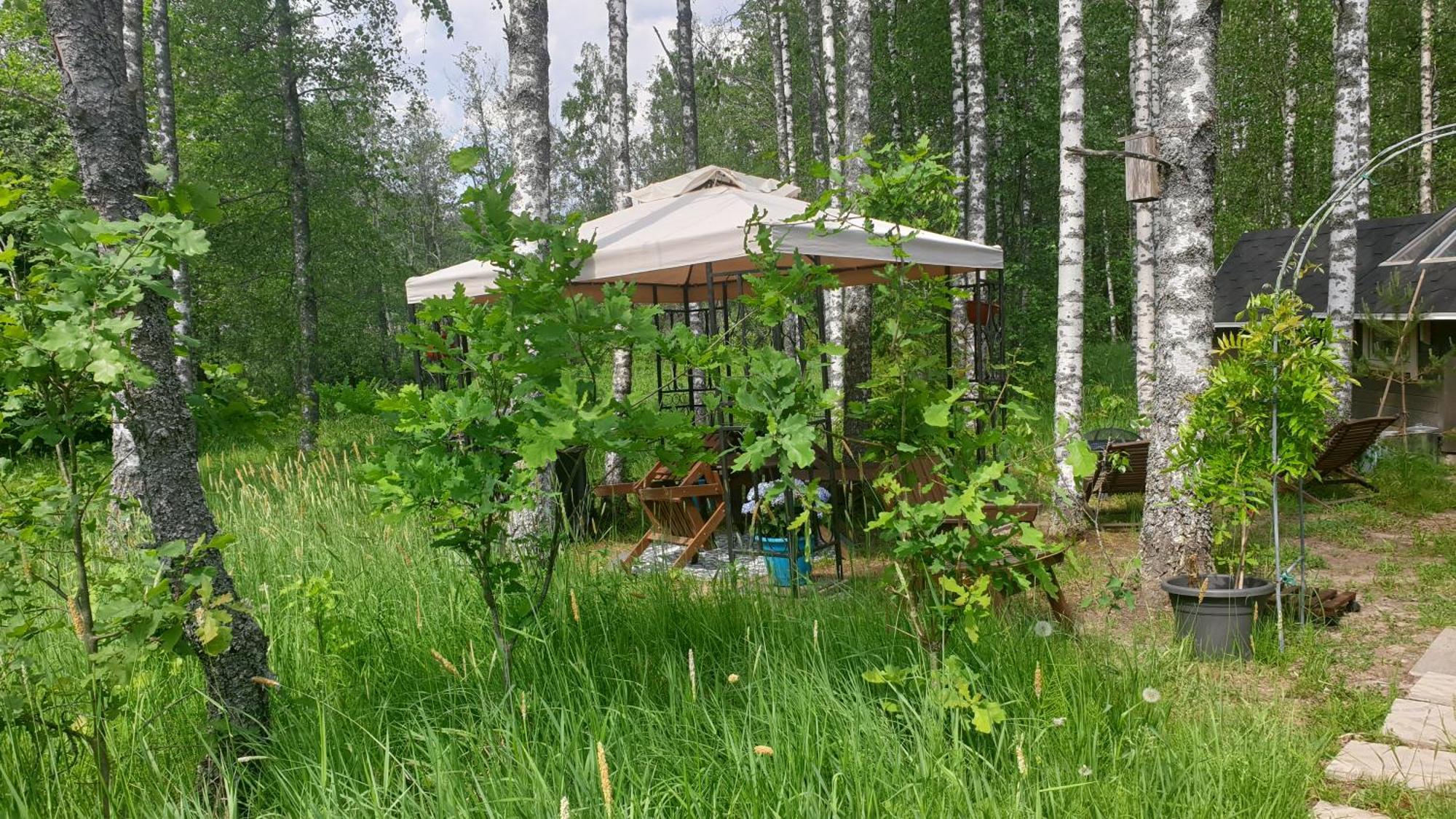Troll House Eco-Cottage, Nuuksio For Nature Lovers, Petfriendly Espoo Dış mekan fotoğraf